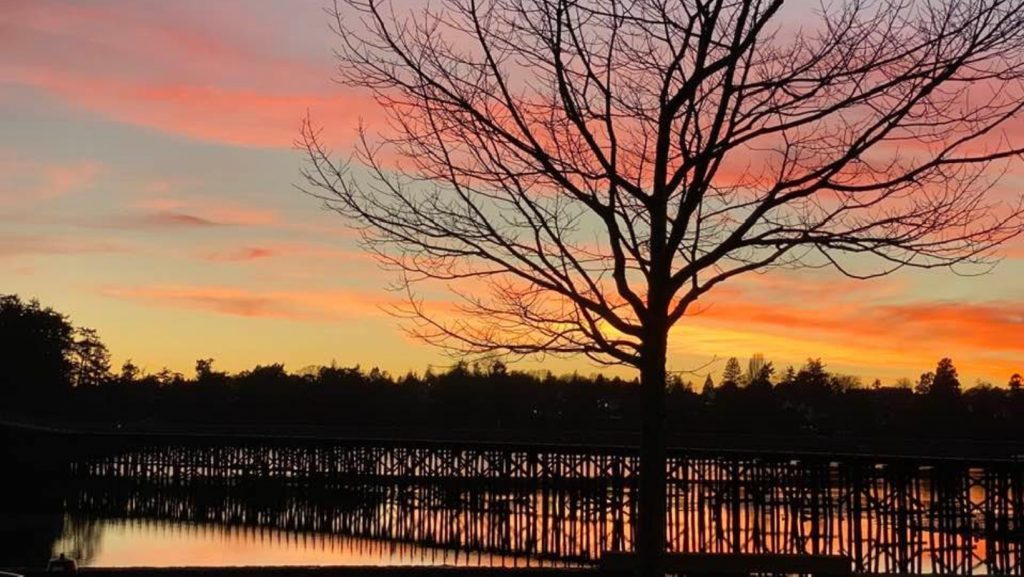 Untitled-design-26-1024x577